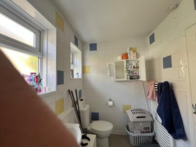 Picture 12